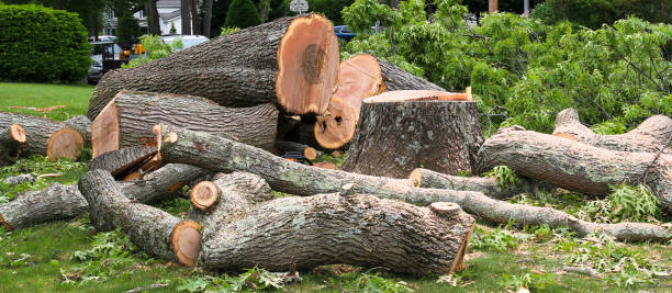 Leaf Removal in Country Clu, CA